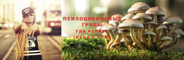 ALPHA PVP Абдулино
