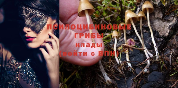 бошки Абаза
