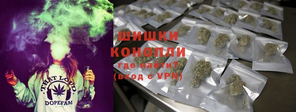 бошки Абаза